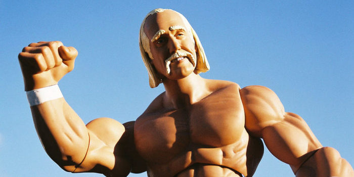 hulk_hogan