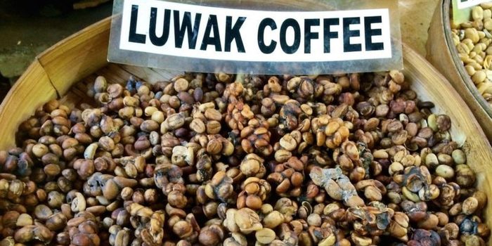 kopi_luwak_coffee