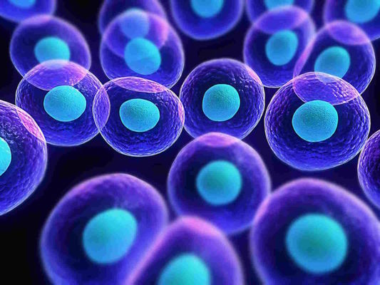 nueva célula que puede revolucionar el origen de la vida