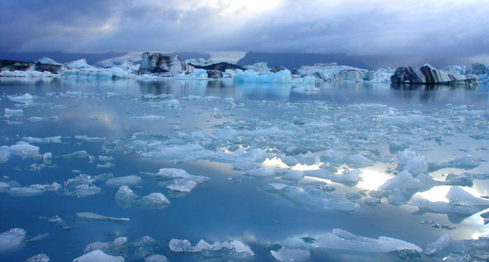 Hielo del ártico