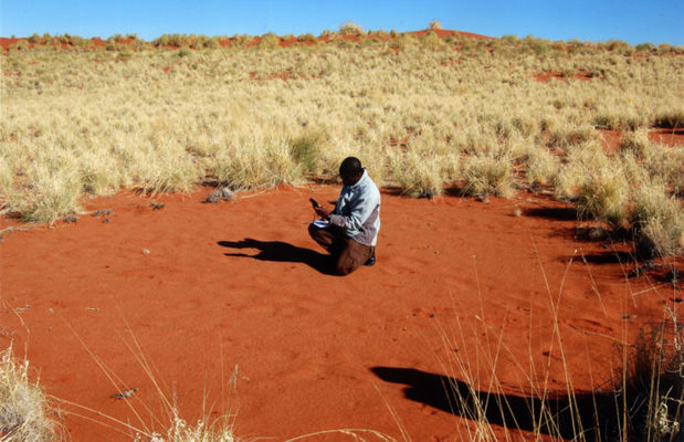 círculos de Namibia ya no son un misterio