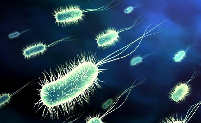 Las infecciones en el ser humano podrían llegar a su fin gracias a un nuevo mecanismo