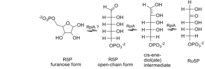 Enfermedad rara