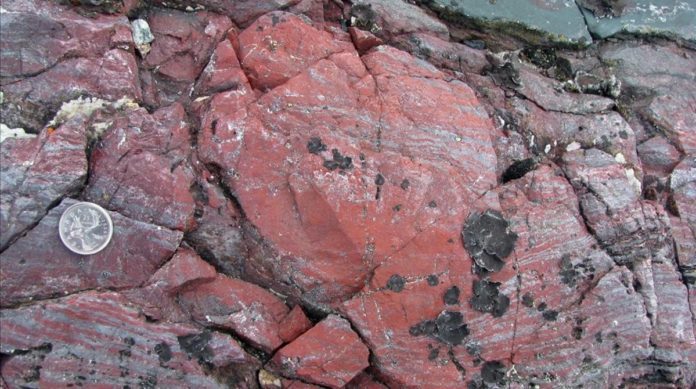 Aparece en Quebec el fósil más antiguo del planeta Tierra