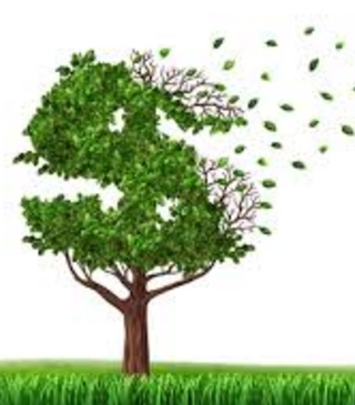 Emprender en verde