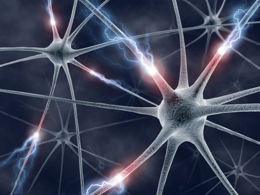 Se descubren dos genes que podrían triplicar la aparición de esclerosis múltiple