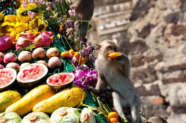 Comer fruta agranda el cerebro