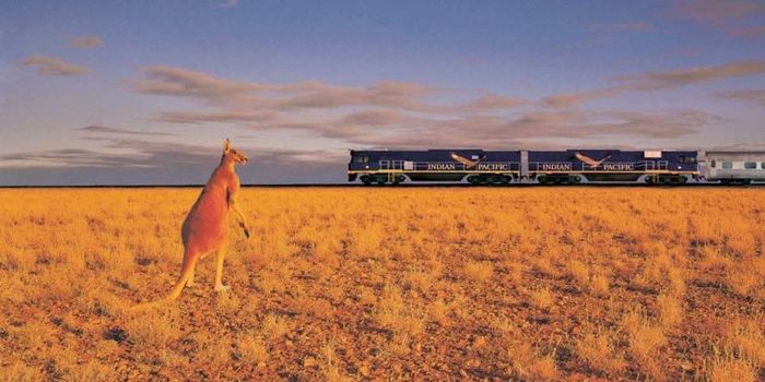indian pacific e1489626874680 Merca2.es