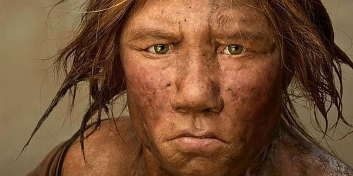 Los neandertales asturianos seguían una dieta vegana