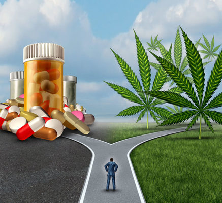 Marihuana vs opiaceos