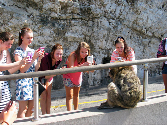 Monplamar Gibraltar turismo monos Merca2.es