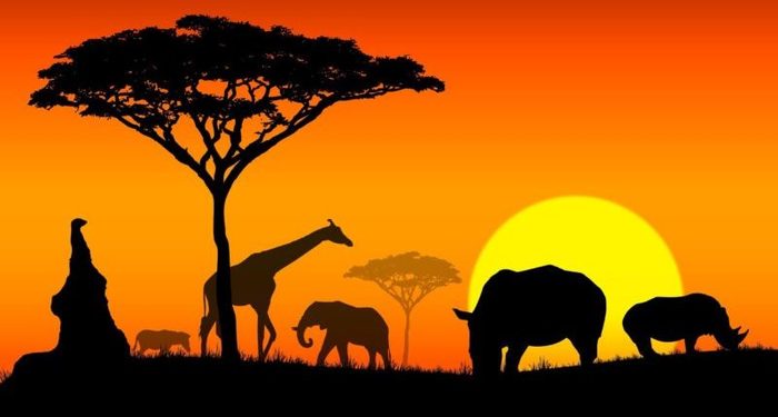 razones que hacen a africa unos de los continentes mas visitados e1493210718973 Merca2.es