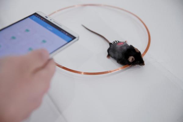 El nuevo método de control de insulina para diabéticos