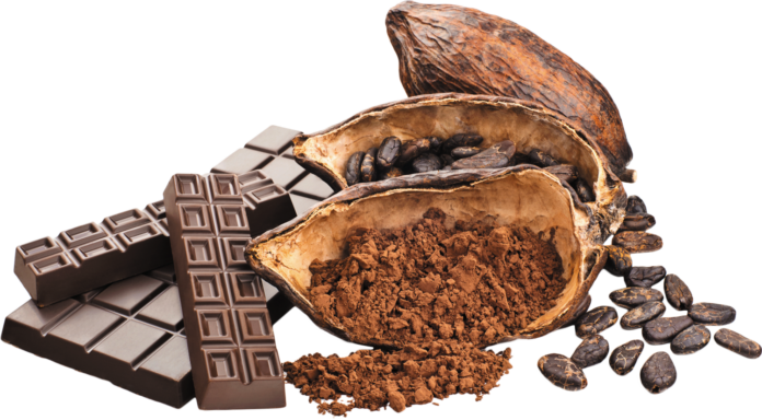 cacao