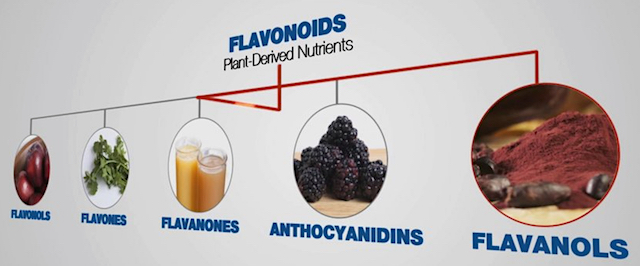 Flavonoids Merca2.es