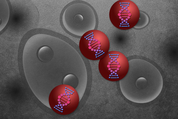 Las nanopartículas podrían acelerar el desarrollo de algunos fármacos