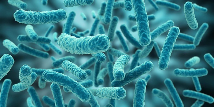 Encuentran una bacteria desconocida en un filtro espacial