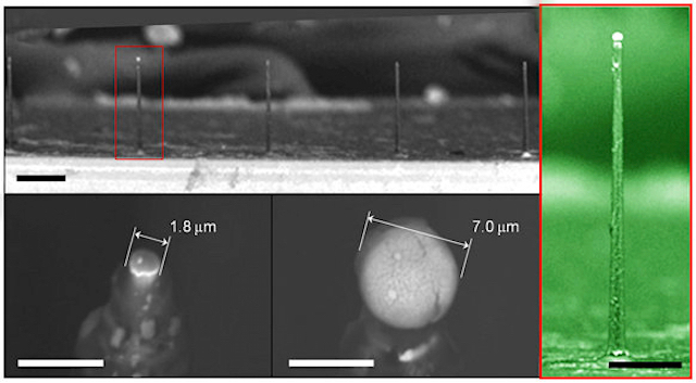 nanocable Merca2.es