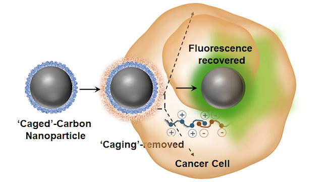 nanopartículas