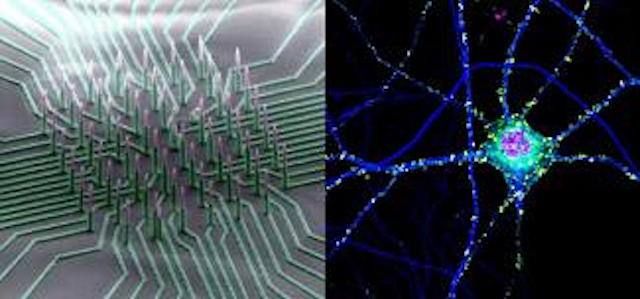 nanowire neuron sbs 0 Merca2.es