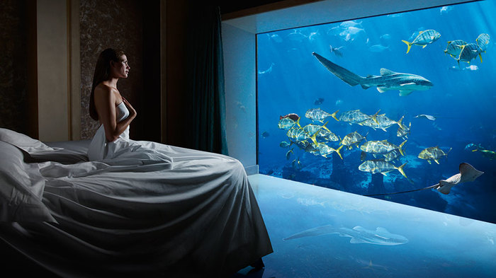 Hoteles submarinos: Lo último en tendencias de lujo