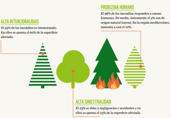 Causas incendios Merca2.es