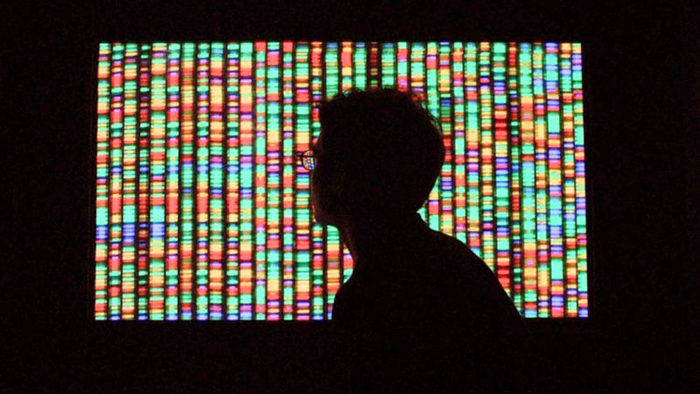 El genoma al descubierto: no está totalmente secuenciado 2 Merca2.es Genome Merca2.es