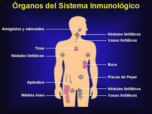 Inmune Merca2.es