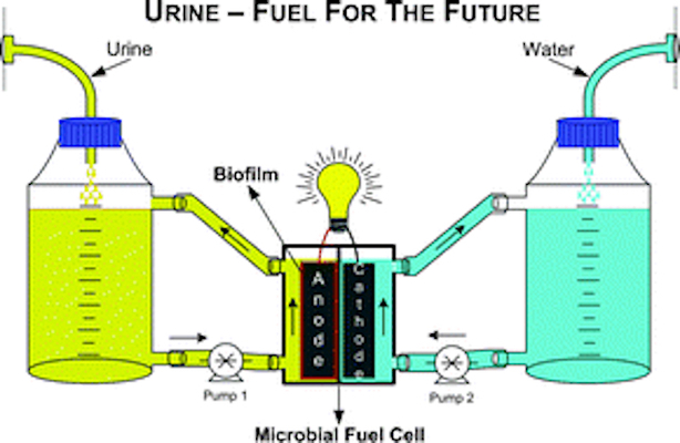 Urine Fuel For the Future Wide Merca2.es
