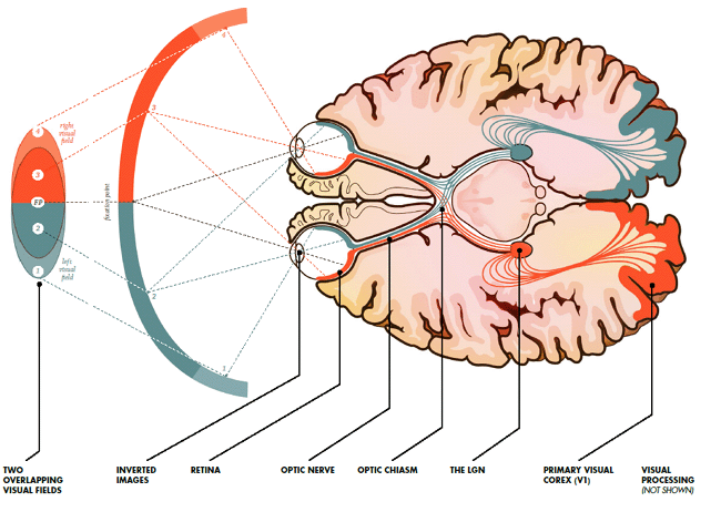 eye diagram Merca2.es