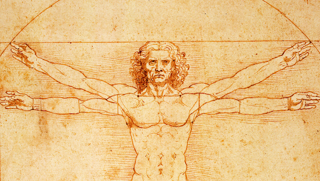 leonardo vitruvian man Merca2.es