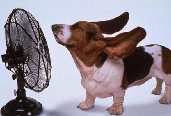 mejores ventiladores baratos 2015 Merca2.es