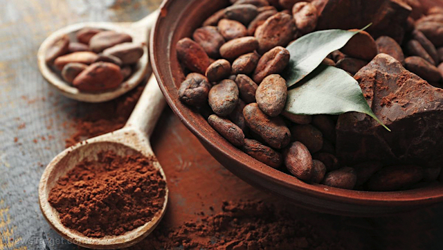 Cocoa Powder Chocolate Merca2.es