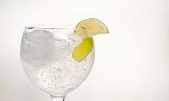 gin tonic perfecto