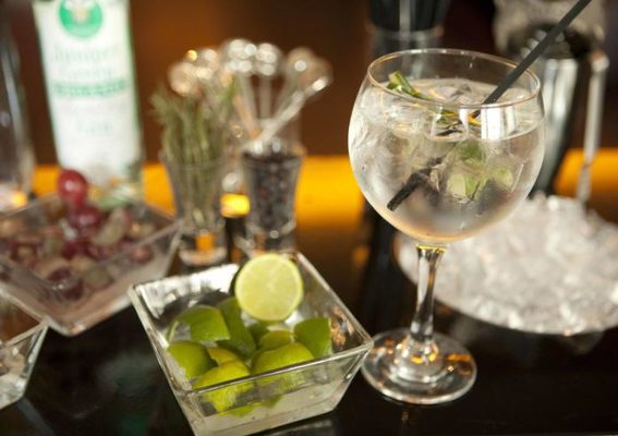 Gin Tonic perfecto