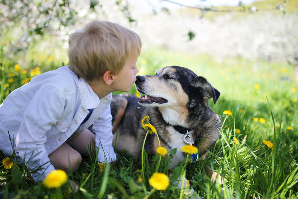 ¿Por qué los perros son unos compañeros tan cariñosos? La respuesta está en sus genes
