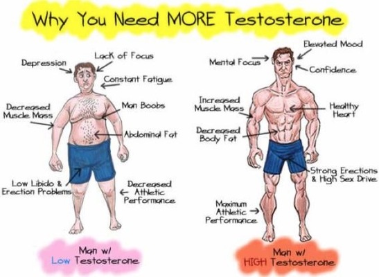 Esto Es Lo Que Les Sucede A Los Niveles De Testosterona De Los Hombres