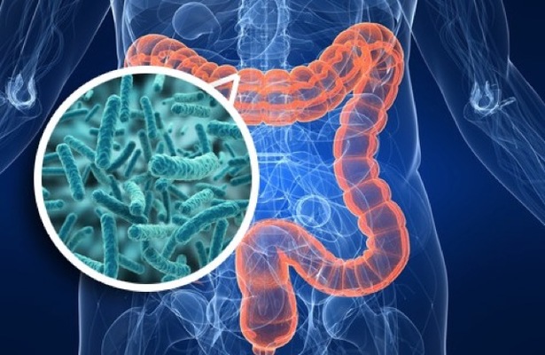 Flora Intestinal Merca2.es