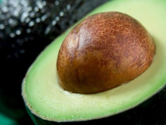 aguacate