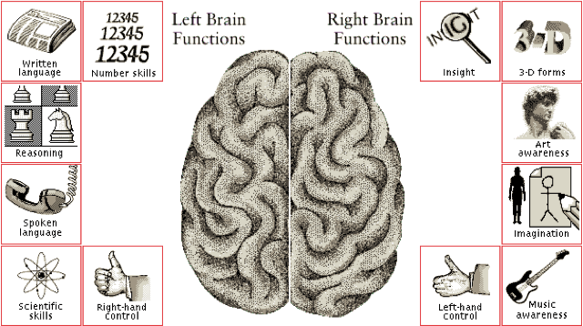 brain hem Merca2.es