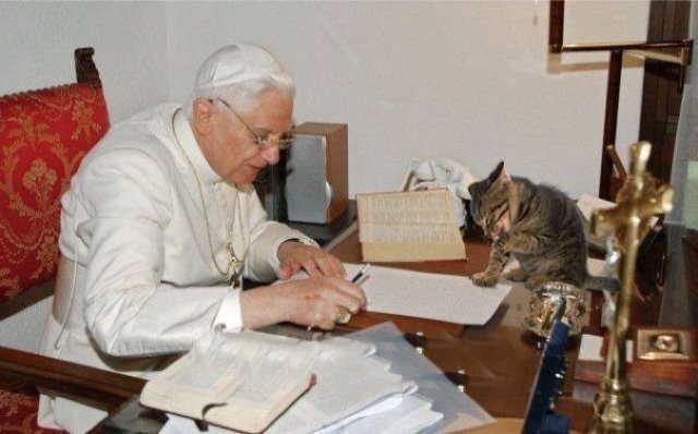 Cuando la Iglesia no perseguía brujas… ¡Perseguía gatos! 3 Merca2.es pope cat Merca2.es