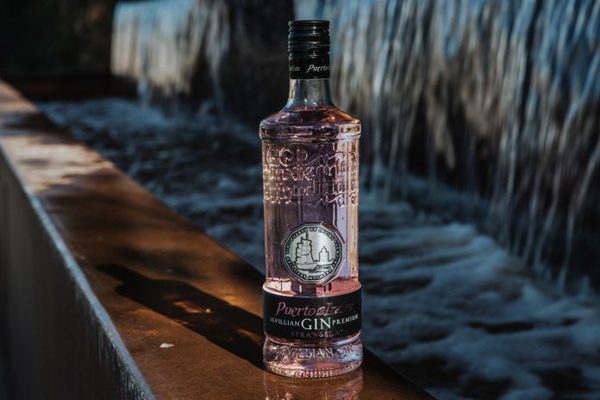 Gin Premium Puerto de Indias Strawberry (1)