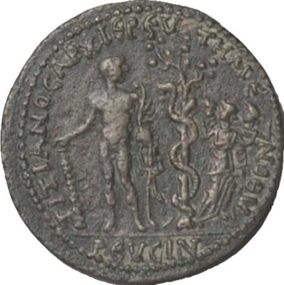 Roman coin 2 Merca2.es