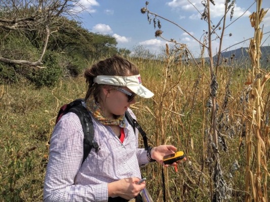 xtracking down the jumping genes of maize.jpg.pagespeed.ic .zzUH4yCbjd Merca2.es