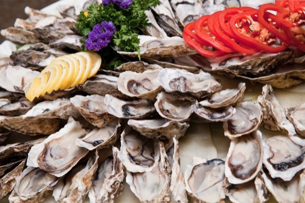 zinc for aging oysters health Merca2.es