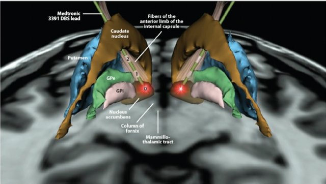 nucleus Merca2.es