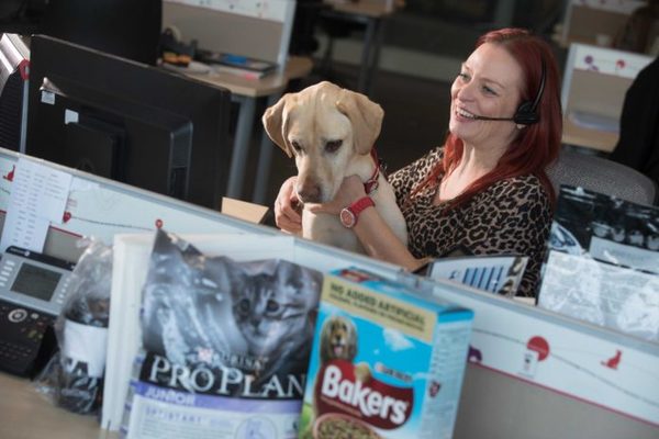 Foto de Pets at Work Purina