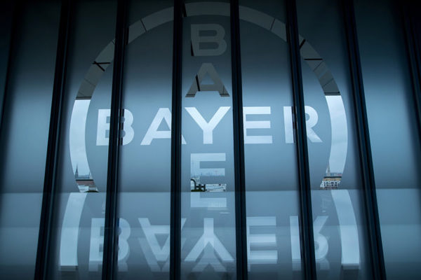 Bayer