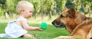 El 'baby-boom' de las mascotas genera un negocio de 850 millones anuales 3 Merca2.es Bebé jugando con su perro Merca2.es