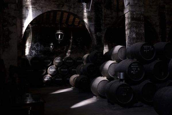 Foto de Bodegas Osborne